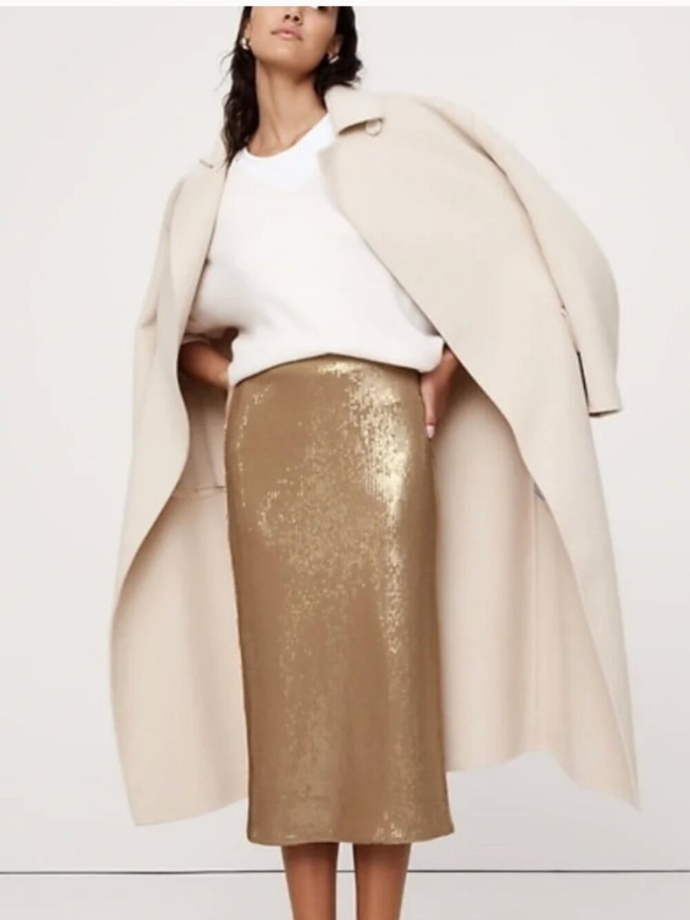 NWT Banana Republic Sequin Pencil Skirt